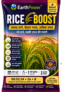 Rice Boost