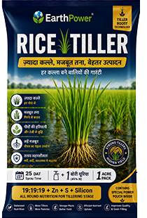 Rice Tiller